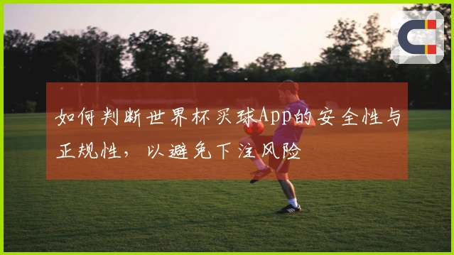 如何判断世界杯买球App的安全性与正规性，以避免下注风险