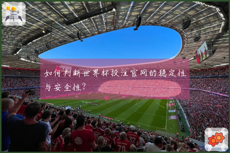 如何判断世界杯投注官网的稳定性与安全性？