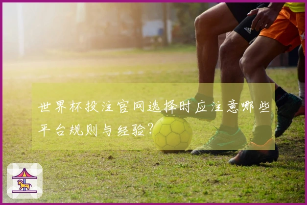 世界杯投注官网选择时应注意哪些平台规则与经验？